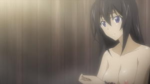 IS: Infinite Stratos Encore - Koi ni Kogareru Rokujuusou